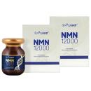 springleaf nmn 12000 1 G2240 130x130px