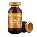 springleaf propolis capsule 1000mg 1 P6724 130x130px