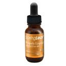 springleaf propolis liquid alcohol free 40 25ml 3 G2046 130x130px