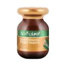 springleaf saw palmetto plus complex 2 D1720 130x130px