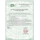 taca cong duc 3 B0775 130x130px