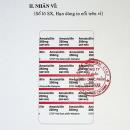 thuoc amoxicillin 250mg mekophar 14 A0181 130x130px