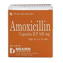 thuoc amoxicillin capsules bp 500mg brawn 1 S7872 130x130
