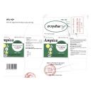 thuoc ampica 250mg 2 J4672 130x130px