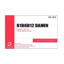 thuoc b1b6b12 damin 11 T8711 130x130px