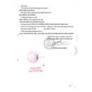 thuoc bosgyno plus 14 D1764 130x130px
