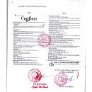 thuoc capflam 25mg 4 B0001 130x130px