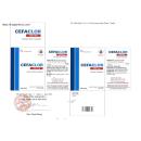 thuoc cefaclor 250mg domesco vien nang cung xanh xanh 2 C0545 130x130px