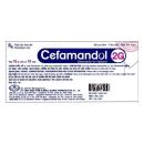 thuoc cefamandol 2g glomed 1 N5040 130x130px