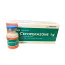 thuoc cefoperazone 1g imexpharm 1 N5478 130x130px