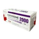 thuoc cefotaxime 2000mg duoc pham tenamyd 2 D1552 130x130px