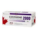 thuoc cefotaxime 2000mg duoc pham tenamyd 3 R7442 130x130px