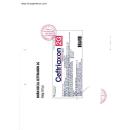 thuoc ceftriaxon 2g glomed 2 H3010 130x130px