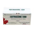 thuoc ceftriaxone 1000 tenamyd 1 T8162 130x130px