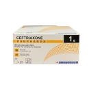 thuoc ceftriaxone panpharma 1g 12 O6223 130x130px