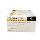 thuoc ceftriaxone panpharma 1g 13 T7773 130x130px