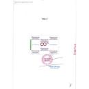 thuoc cephalexin 750mg pymepharco 3 I3466 130x130px