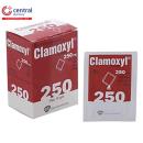 thuoc clamoxyl 250mg 11 K4084 130x130px