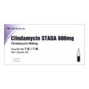 thuoc clindamycin stada 600mg 1 A0231 130x130px