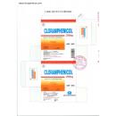 thuoc cloramphenicol 250mg quapharco 5 A0250 130x130px
