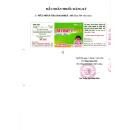 thuoc dasamex ds 500mg 3 M5722 130x130px