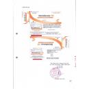 thuoc diclofenac 50mg tpharco 3 E1141 130x130px