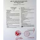 thuoc eftilugel 1238g 4 J3145 130x130px