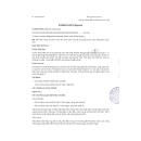 thuoc fanalujin capsule 5mg 4 N5676 130x130px