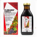 thuoc floradix liquid iron and vitamin formula 9 U8203 130x130px