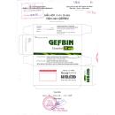 thuoc gefbin 20mg 12 L4520 130x130px