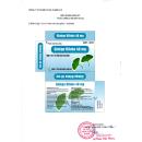thuoc ginkgo biloba 40mg vcp 3 C0237 130x130px