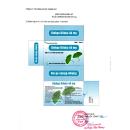 thuoc ginkgo biloba 40mg vcp 4 I3864 130x130px