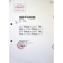 thuoc glosicon 80mg glomed 2 U8610 130x130px