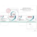 thuoc gronat 3 G2545 130x130px