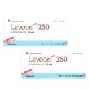 thuoc levocef 250 2 N5336 130x130px