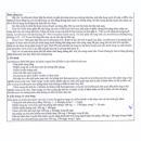 thuoc levofloxacin spm 500mg 13 H2037 130x130px
