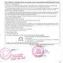thuoc levofloxacin spm 500mg 25 T7562 130x130px