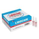 thuoc lidocain 40mg 2ml vinphaco 5 H3017 130x130px
