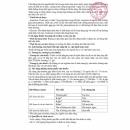 thuoc mectomal 3g 4 G2817 130x130px