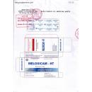thuoc meloxicam ht 7 5 mg 2 F2416 130x130px