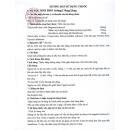 thuoc mns dwp 164mg 170mg 25mg 2 S7552 130x130px