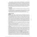 thuoc nabugesic 500mg 4 O5146 130x130px