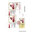 thuoc orga hepa forte 3000mg 4 K4427 130x130px