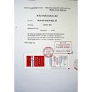 thuoc phyamino 8 V8548 130x130px