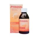 thuoc pyridol 120ml 1 P6662 130x130px