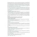 thuoc satadin 01g ml 5 N5045 130x130px