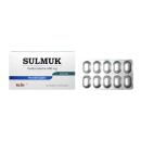 thuoc sulmuk 500mg Q6045 130x130px
