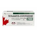 thuoc tenamyd cefotaxime 2000 1 A0273 130x130px