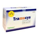 thuoc tramucys 200mg 1 H2765 130x130px