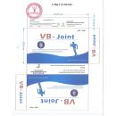 thuoc vb joint 750mg 250mg 4 T7817 130x130px